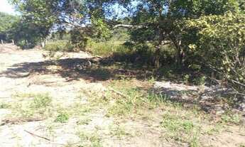 Imagem 3: Lotes em Interlagos,praia da baleia, morro da lagoa a parti 45 mil aceito proposta parcelo