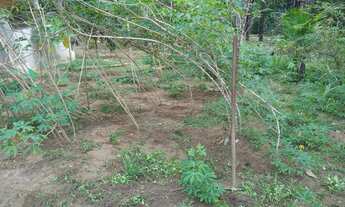 Imagem 6: Vendo Sitio no Paricatuba