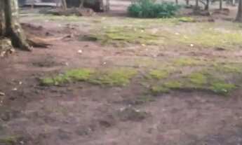 Imagem: Sítio no perímetro de Goiânia 15 hectares