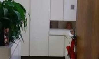 Imagem 4: APARTAMENTO 3 DORMITÓRIOS, 1 SUÍTE, 2 VAGA, À VENDA EMSANTO ANDRÉ