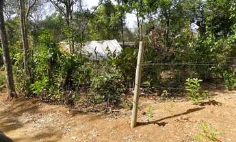 Imagem 4: Lote de 500m a1km do asfalto próximo a baldim