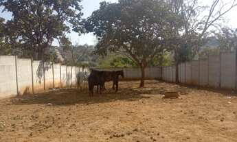 Imagem: Lote com excelente topografia, com área
