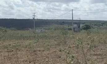 Imagem 5: Excelente Fazenda com 497 hectares na região de João Câmara terra com grande potencial