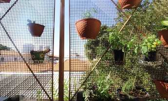 Imagem 5: Casa à Venda - Prosperidade, 3 Quartos, 289 m2