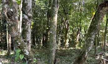 Imagem 3: Sítio Com Entrada De 4.900 E Parcelas De 650. ROB:410