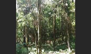 Imagem 5: Terreno 1000m2 Condominio Jardins; Retiro do chalé