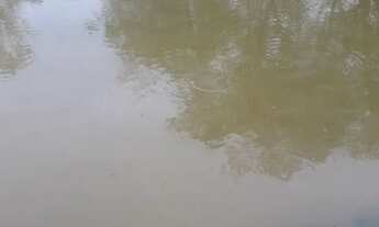 Imagem 6: Vende-se um terreno