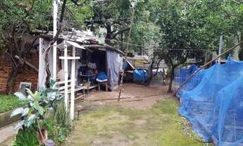 Imagem 5: Terreno para Venda - 0m², 0 dormitórios, Cristo Redentor