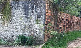 Imagem 5: Excelente Chacara