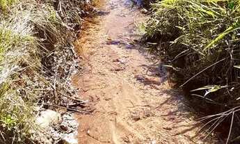 Imagem 6: Venda-se sítio BARATO em Diogo de Vasconselos