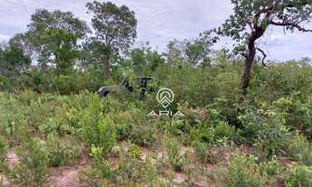 Imagem 5: Fazenda à venda, 154 alq - Zona Rural - General Carneiro/MT