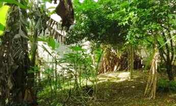 Imagem: Terreno dentro de Condomínio de Alto Padrão