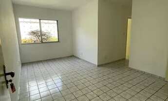 Imagem 7: Jardim das Hortencias