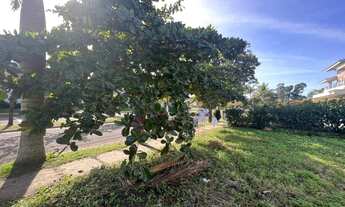 Imagem 5: Lote/Terreno para venda com 450 metros quadrados em Jurerê Internacional - Florianópolis