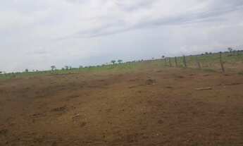 Imagem 3: Fazenda de 16 Mil Hectares Região de Ribeirão Cascalheira - MT