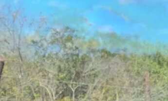 Imagem 4: Excelente Fazenda com 497 hectares na região de João Câmara terra com grande potencial