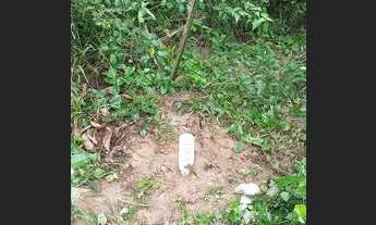 Imagem 2: Terreno 185 Hectares