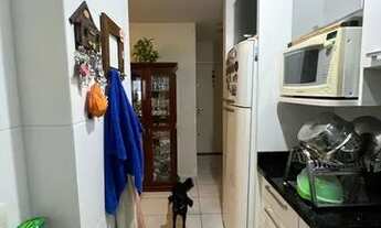 Imagem 7: Apartamento com 2 dormitórios 1 suíte- Vaga de garagem - Estreito - Florianópolis - SC