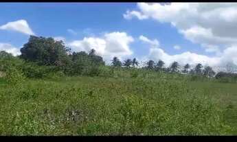 Imagem 4: Sítio em Sobrado