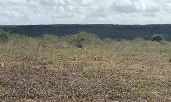 Imagem: Excelente Fazenda com 497 hectares na região