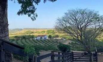 Imagem 4: Sítio Capetinga 19 Alqueires