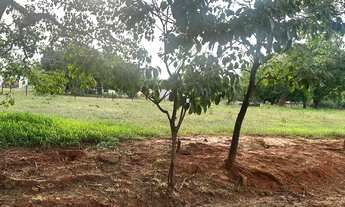 Imagem 6: VENDO CHÁCARA - ESTÂNCIA SÃO MANOEL