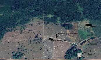 Imagem 4: Lindo Sítio (dois lotes unidos) com 136,5 hectares de área total na Félix Pinto