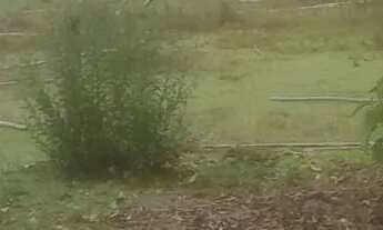 Imagem 3: Chacaras rurais em azurita