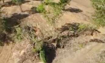 Imagem 3: Excelente oportunidade!!!!