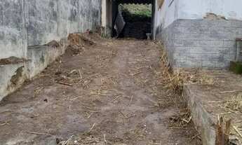 Imagem 3: Excelente terreno para investimento