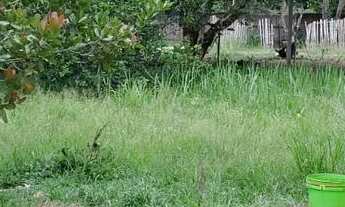 Imagem 4: Vendo terreno em Marituba