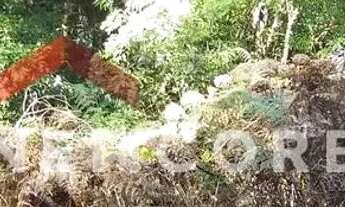 Imagem: Lote em Estrada Serra Velha - São Bernardo