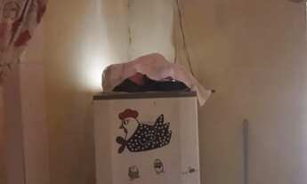 Imagem: Sítio com casa 4 água zona rura em média