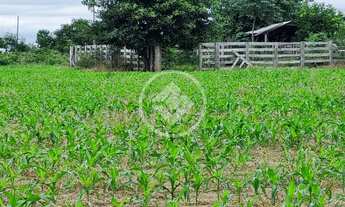 Imagem 3: Linda propriedade em Jangada MT a venda, com 250 hectares, terra de primeira! Próximo da c