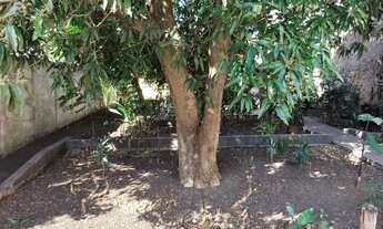 Imagem 5: CASA A VENDA - METRO CONCEIÇÃO