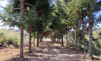 Imagem: Sítio com 1 dormitório à venda, 198000