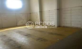 Imagem 7: Galpão para aluguel, Jardim Regina - ARAGUARI/MG