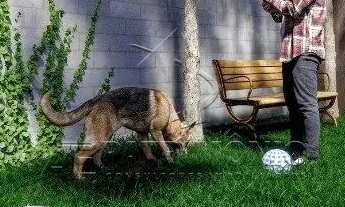 Imagem 5: CASA EM CONDOMINIO 3 QUARTOS RESIDENCIAL GARDEN HOUSES