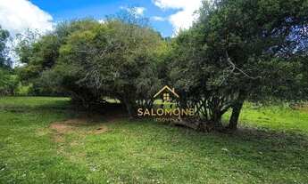 Imagem 4: Salomone vende sítio de 15.000m² em Gravataí