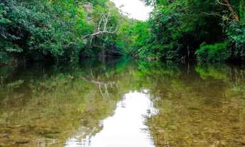 Imagem 2: Vendo lote com acesso ao Rio Coxipó - Região do Coxipó do Ouro - Ponte de Ferro ferr