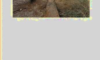 Imagem 5: Vendo um lote, no setor vila nova , lote muito bom com casa e barracões antigos