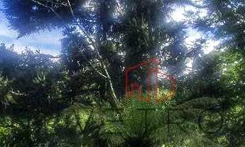 Imagem 2: Terreno à Venda em Canela!