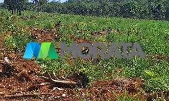 Imagem 4: FAZENDA À VENDA - 385 HECTARES - CORINTO - MG