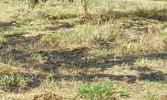 Imagem 3: Excelente Lote de Esquina para Morar Investir Alugar Comercial