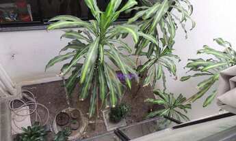 Imagem 6: Sobrado com 1 dormitório à venda por R$ 510.000,00 - Santa Teresa - Rio de Janeiro/RJ