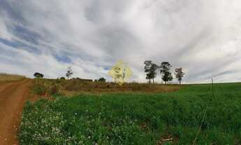 Imagem 3: Chácara à venda, Área Rural de Toledo - Toledo/PR