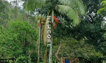 Imagem 6: Chácara em estrada do perau - barriga - Adrianópolis/PR