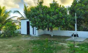 Imagem 3: Vendo chácara em Itaporanga