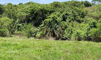 Imagem: Chácaras de 2mil mt em o trindade próxima