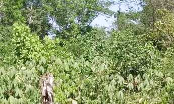 Imagem 3: Vende-se terreno Medindo 49 x100